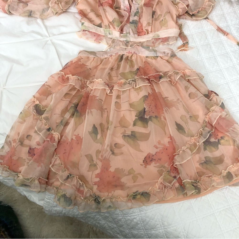 Floral Sheer Ruffle Dress - Picture 3 of 3